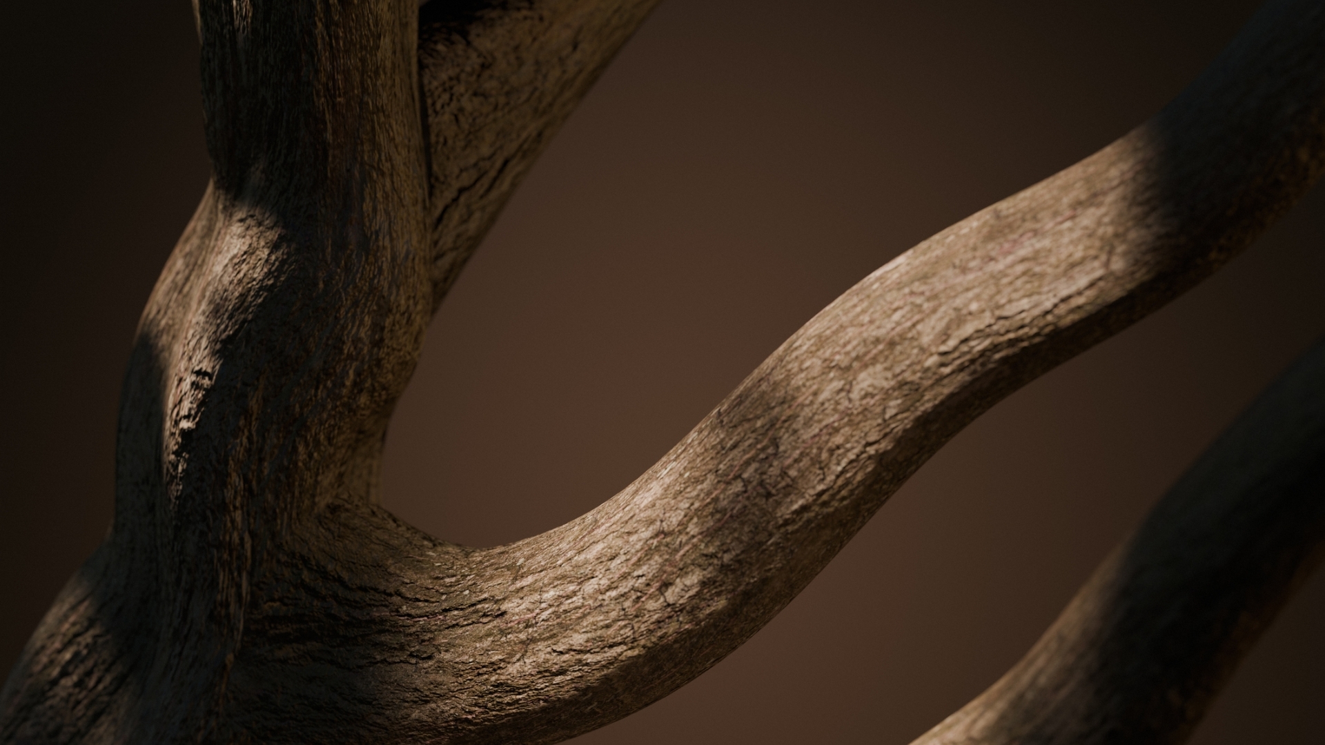 Rooted in Dadu